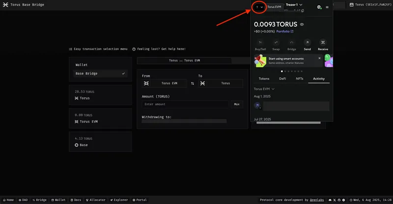 MetaMask connected to Torus EVM